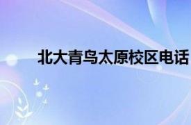 北大青鸟太原校区电话（北大青鸟太原泽雅校区）