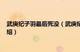 武庚纪子羽最后死没（武庚纪子羽掉入深渊了吗相关内容简介介绍）