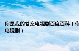 你是我的答案电视剧百度百科（你是我的答案 2018年郭晓东、吴谨言主演电视剧）