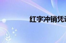 红字冲销凭证（红字冲正）