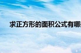 求正方形的面积公式有哪些（正方形面积公式有几个）