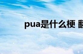 pua是什么梗 翻译（pua是什么）