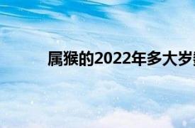 属猴的2022年多大岁数（属猴2022年多少岁）