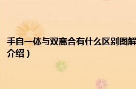 手自一体与双离合有什么区别图解（手自一体和双离合的区别相关内容简介介绍）