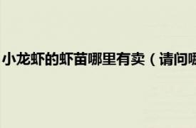 小龙虾的虾苗哪里有卖（请问哪里有龙虾苗卖相关内容简介介绍）