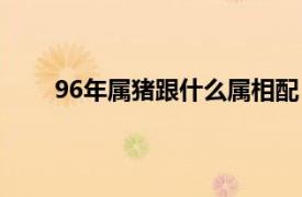 96年属猪跟什么属相配（95年属猪跟什么属相配）