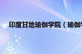 印度甘地瑜伽学院（瑜伽学院 印度帕坦伽利瑜伽学院）