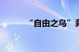 “自由之鸟”龚琳娜金安演唱会