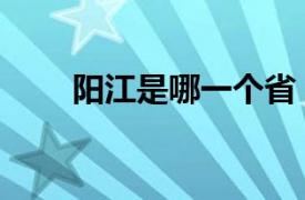 阳江是哪一个省（阳江在哪个省份）