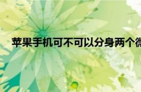 苹果手机可不可以分身两个微信（苹果可以分身两个微信吗）