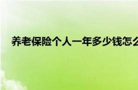 养老保险个人一年多少钱怎么查（养老保险个人一年多少钱）