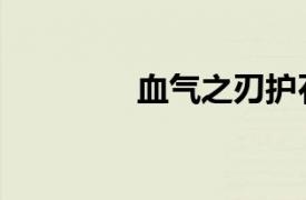 血气之刃护石（血气之刃）