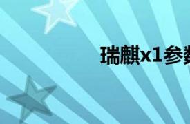 瑞麒x1参数（瑞麒X1）