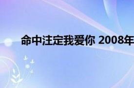 命中注定我爱你 2008年陈铭章导演的电视剧是什么