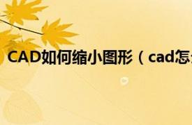 CAD如何缩小图形（cad怎么缩小图形相关内容简介介绍）