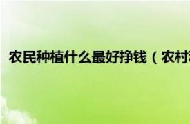 农民种植什么最好挣钱（农村种植什么赚钱相关内容简介介绍）