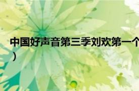 中国好声音第三季刘欢第一个学员（刘珂 中国好声音第三季学员）