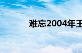 难忘2004年王维导演的电视剧