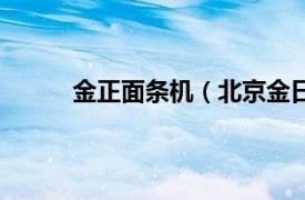 金正面条机（北京金日来带馅面条机有限公司）