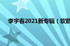 李宇春2021新专辑（软肋 2021年李宇春演唱的歌曲）