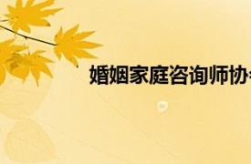 婚姻家庭咨询师协会（婚姻家庭咨询师）