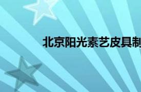 北京阳光素艺皮具制作有限责任公司怎么样