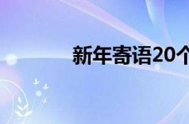 新年寄语20个字（新年寄语）