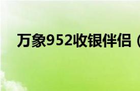 万象952收银伴侣（万象2004收银伴侣）