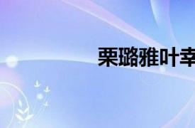 栗璐雅叶幸东（栗璐雅）