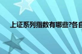 上证系列指数有哪些?各自定义是啥?（上证系列指数）