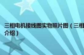 三相电机接线图实物照片图（三相电机怎样接线接线图及实物相关内容简介介绍）