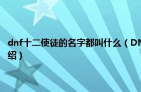 dnf十二使徒的名字都叫什么（DNF十二使徒具体是哪几个相关内容简介介绍）