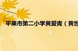 平果市第二小学黄爱青（黄世强 广西平果县马头镇初中教师）