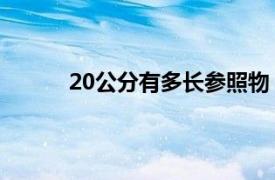 20公分有多长参照物（30公分是多长 参照物）