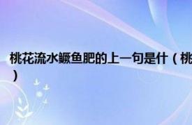 桃花流水鳜鱼肥的上一句是什（桃花流水鳜鱼肥的上一句相关内容简介介绍）