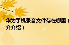 华为手机录音文件存在哪里（华为录音存在手机哪里相关内容简介介绍）