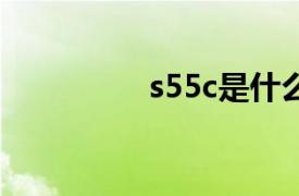 s55c是什么材质（S55）