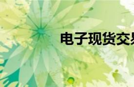 电子现货交易（电子现货）