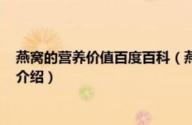 燕窝的营养价值百度百科（燕窝中最珍贵的是什么相关内容简介介绍）