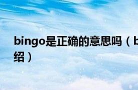 bingo是正确的意思吗（binggo什么意思相关内容简介介绍）