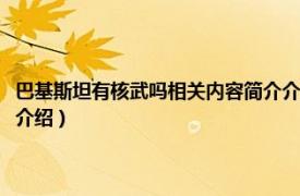 巴基斯坦有核武吗相关内容简介介绍一下（巴基斯坦有核武吗相关内容简介介绍）