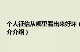 个人征信从哪里看出来好坏（个人征信好坏怎么查看相关内容简介介绍）