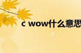 c wow什么意思（wow什么意思）