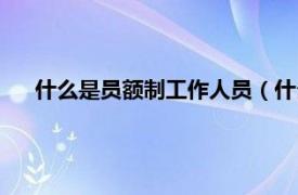 什么是员额制工作人员（什么是员额制相关内容简介介绍）