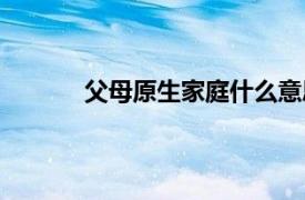 父母原生家庭什么意思（原生家庭什么意思）