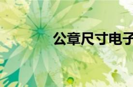 公章尺寸电子版（公章尺寸）