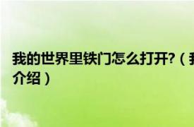 我的世界里铁门怎么打开?（我的世界怎么打开铁门相关内容简介介绍）