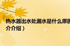 热水器出水处漏水是什么原因（热水器漏水什么原因相关内容简介介绍）