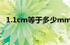 1.1cm等于多少mm（1cm等于多少mm）