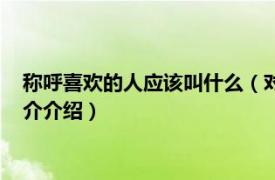 称呼喜欢的人应该叫什么（对喜欢的人的称呼有哪些相关内容简介介绍）